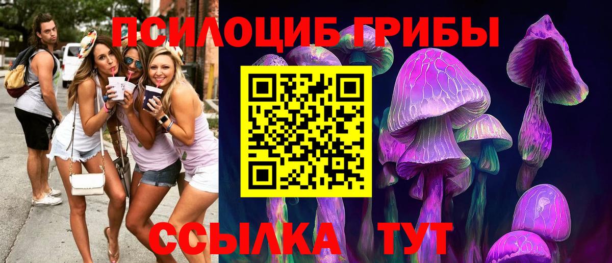 Галлюциногенные грибы Cubensis  Вход с VPN  Волжск 