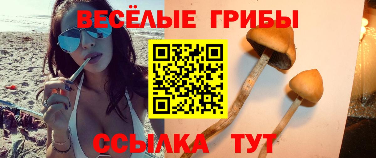 Псилоцибиновые грибы мухоморы Волжск